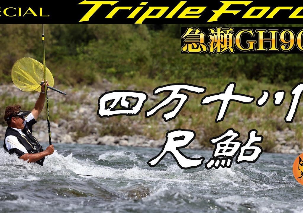 高知県 四万十川 尺鮎狙い❗２０２６シマノ新製品鮎竿 トリプルフォース急瀬ＧＨ９０