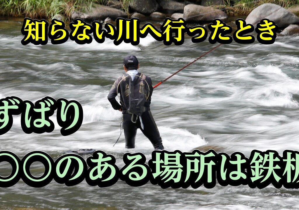鮎釣りの豆知識　あなたはいくつ知っていますか？