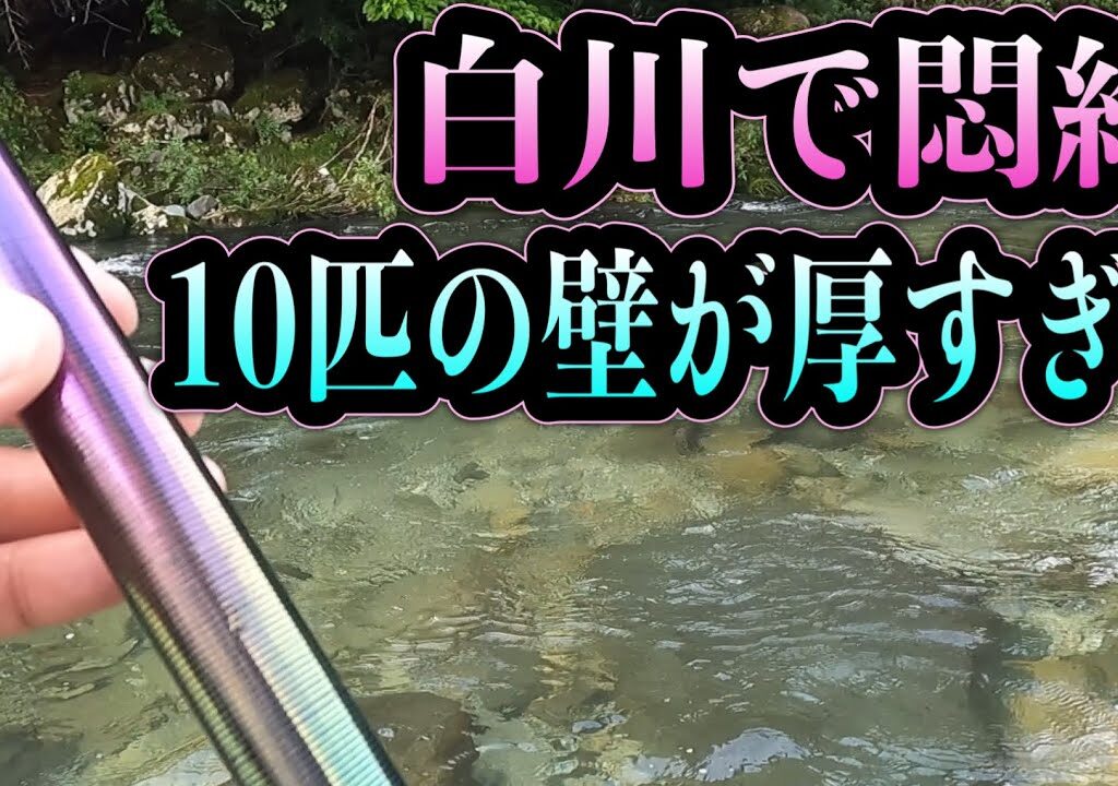 【鮎釣り】岐阜・白川で悶絶。10匹の壁が厚すぎる…