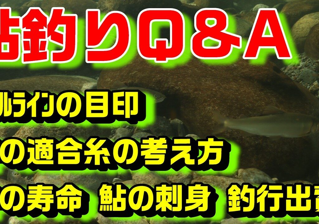 鮎釣り質問 A-34 2026年3月6日 本年度の質問受付は終了しました