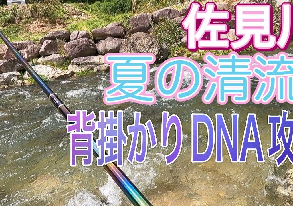 【鮎釣り】佐見川・夏の清流を背掛かりDNAで完全攻略