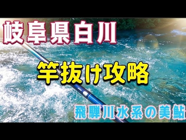 これぞ白川のポテンシャル！飛騨川漁協管轄の激戦区の竿抜け「追い」の凄さを体感する