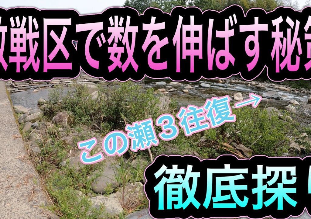 激戦区・付知川で絞り出す！人気ポイントで釣果を伸ばし続けた「探り」の技術