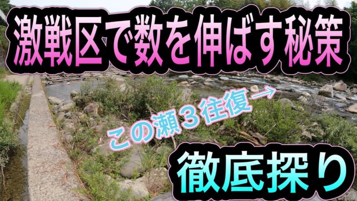 激戦区・付知川で絞り出す！人気ポイントで釣果を伸ばし続けた「探り」の技術