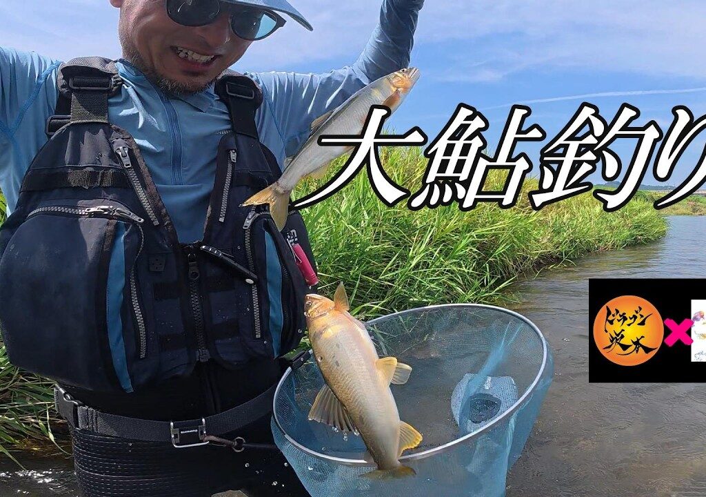 鮎釣り ジョーと大鮎釣り❗