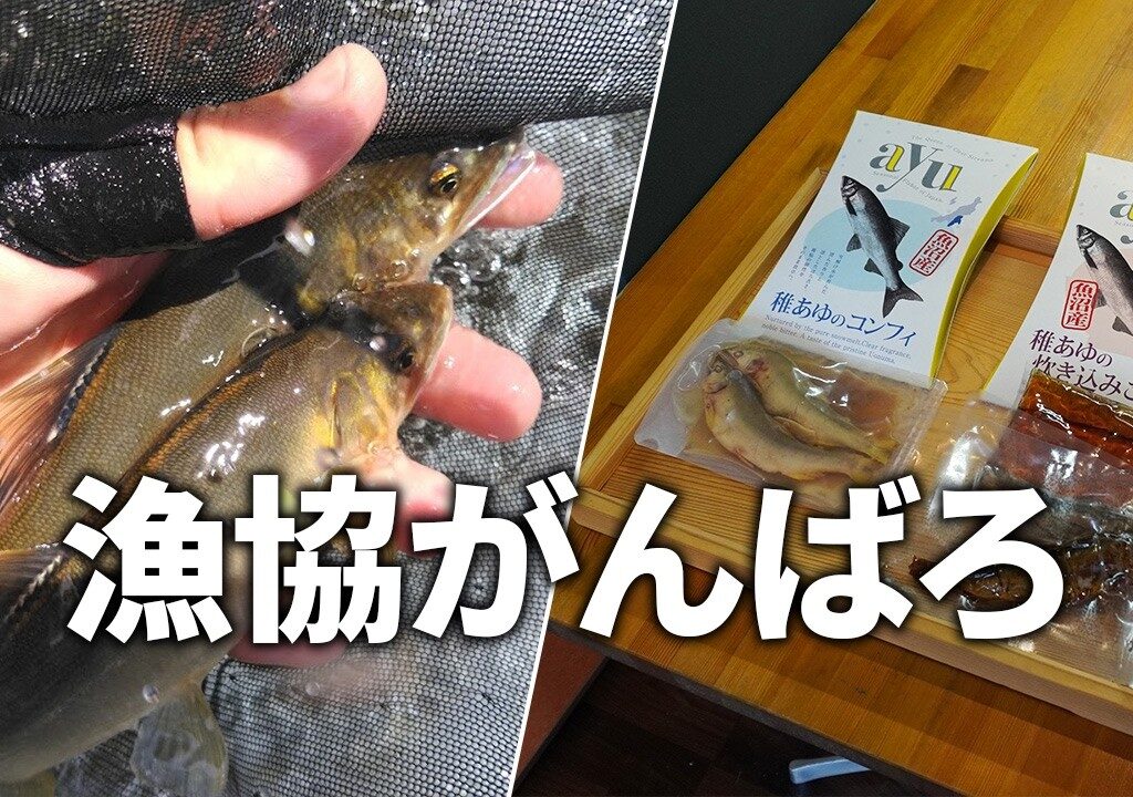 鮎釣り渓流釣りの存続について