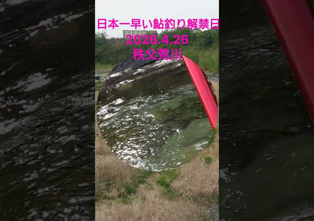 【鮎釣り】2026.4,26 秩父荒川 日本一早い鮎釣り解禁#short