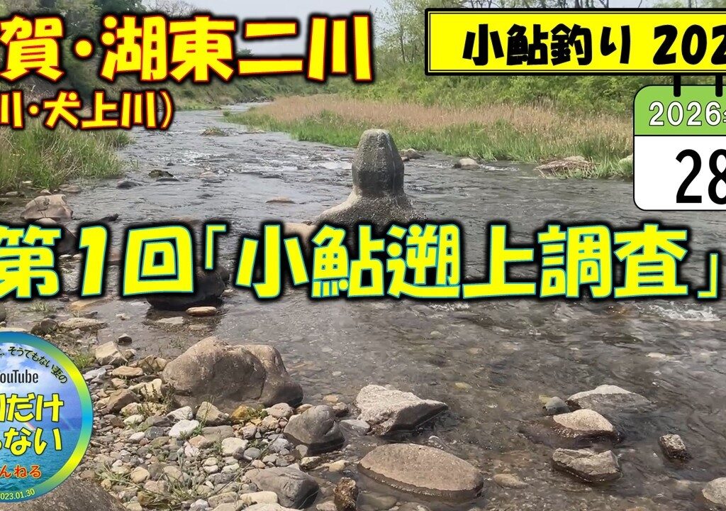 【小鮎釣り2026】第1回「小鮎遡上調査」、滋賀・湖東二川（芹川・犬上川）