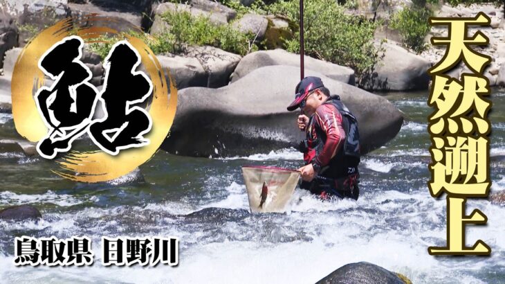 鮎釣りシーズン目前！トーナメンター・瀬田匡志の解禁日釣行に密着 2/2『鮎2021』＜フルver＞【釣りビジョン】