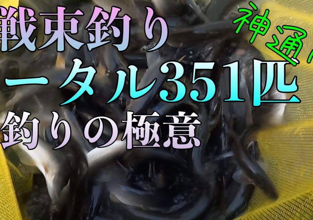 3戦！3回束釣り！束釣りの極意