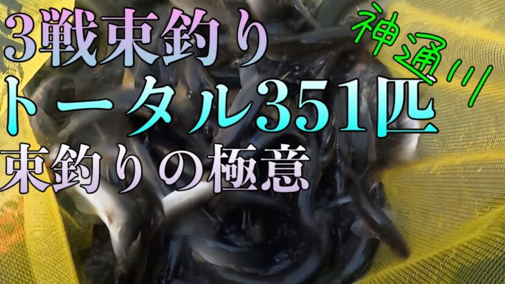 3戦！3回束釣り！束釣りの極意