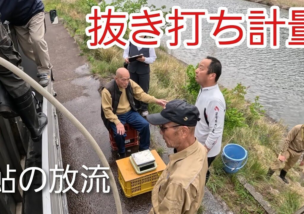 9回目の鮎放流…なぜ同じ場所に？抜き打ち計量の真相