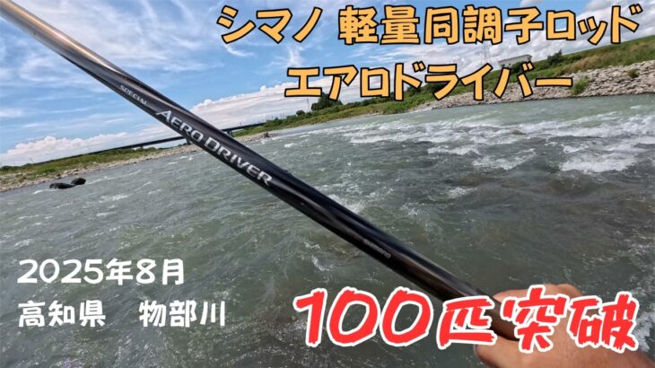 【鮎釣り】シマノ スペシャル エアロドライバー90(H2.4)で入れ掛かり‼️