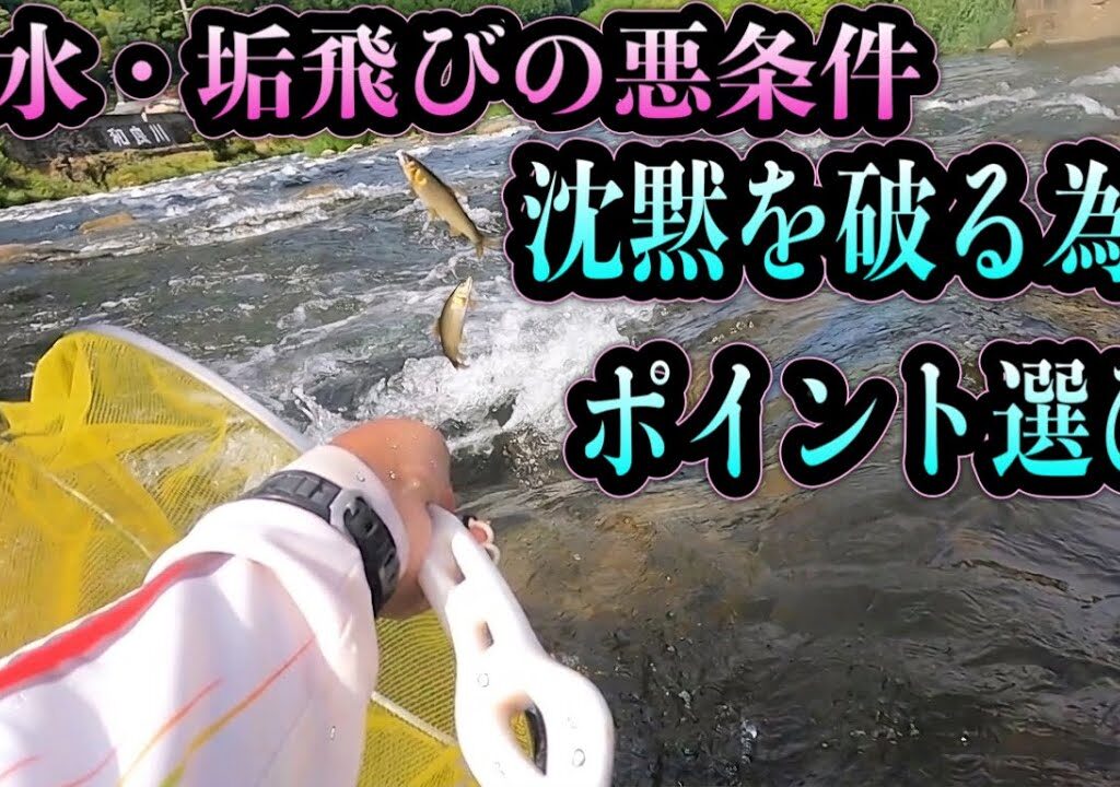 【和良川】増水後の激渋を攻略！シマノVS80とハイテンションワイヤーで引き出す貴重な一匹