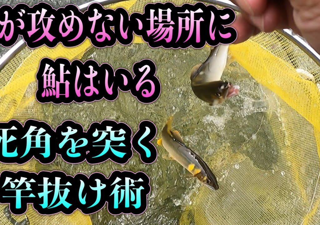 なぜそこが掛かるのか？付知川の死角を突く！竿抜けポイント選定術