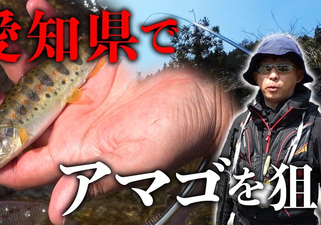 愛知県の渓流でアマゴを釣る！【前編】