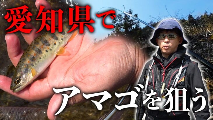 愛知県の渓流でアマゴを釣る！【前編】