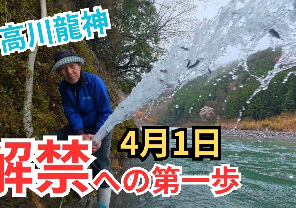 【速報】放流第１弾！日高川龍神に鮎が帰ってきた！稚鮎の放流風景を最速公開！