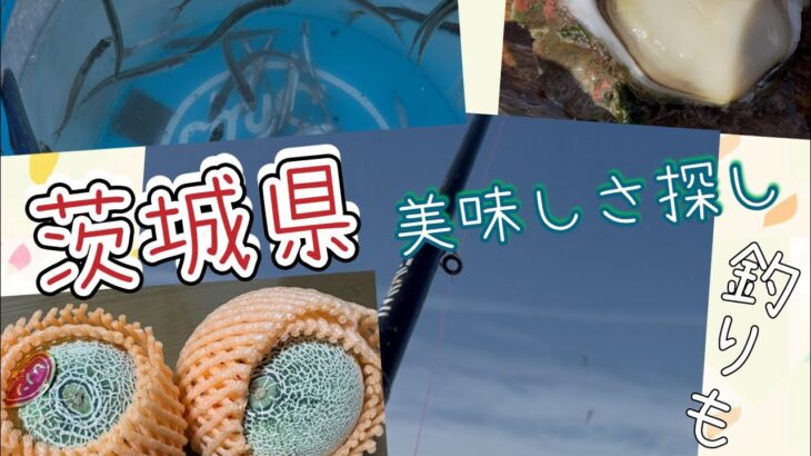 茨城県　大洗　稚鮎釣り　牡蠣も握りもメロンもてんこ盛り