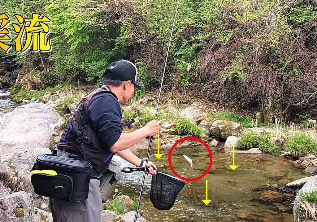渓流釣り　谷釣り最強の釣り/足助釣法