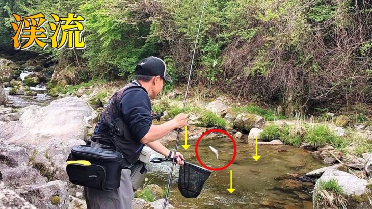 渓流釣り　谷釣り最強の釣り/足助釣法