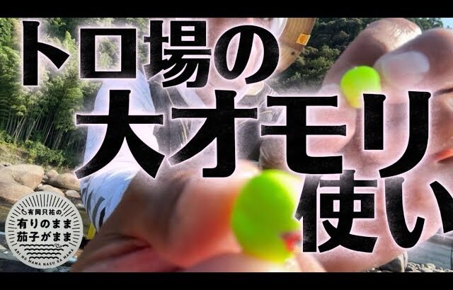 偶然から必然へ！【鮎釣り】