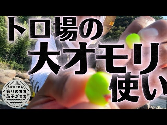 偶然から必然へ！【鮎釣り】