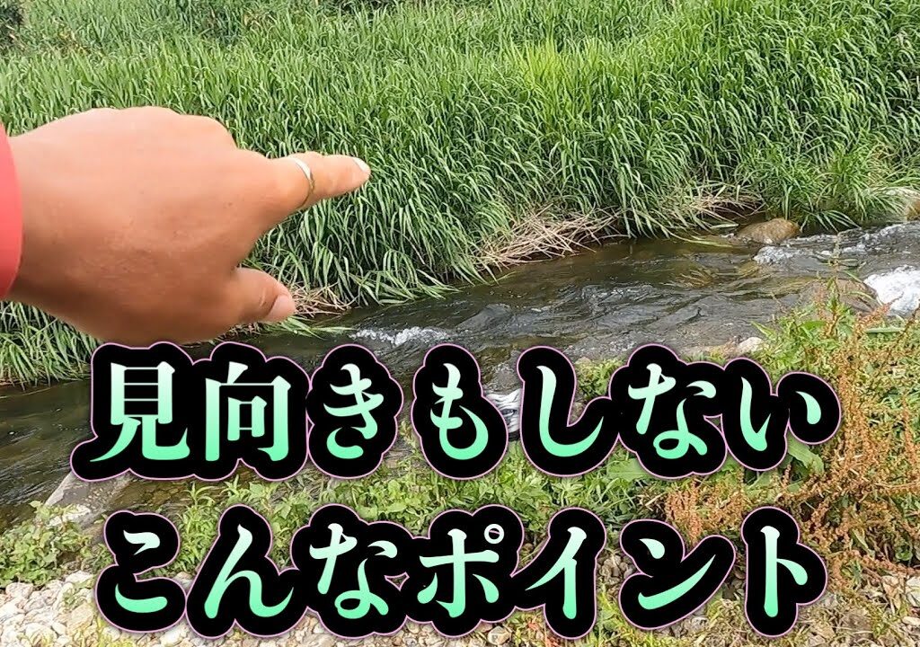 和良川　見向きもしないこんなポイント
