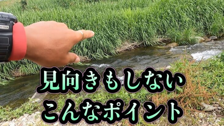 和良川　見向きもしないこんなポイント