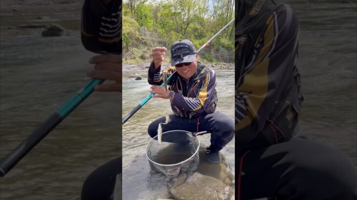 日本一早い鮎釣り解禁で日本一早く釣った鮎を喰う。