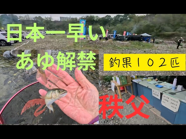 【２０２６年４月２５日　秩父　日本一早い　あゆ解禁釣りの釣行、驚愕１０２匹の釣果】