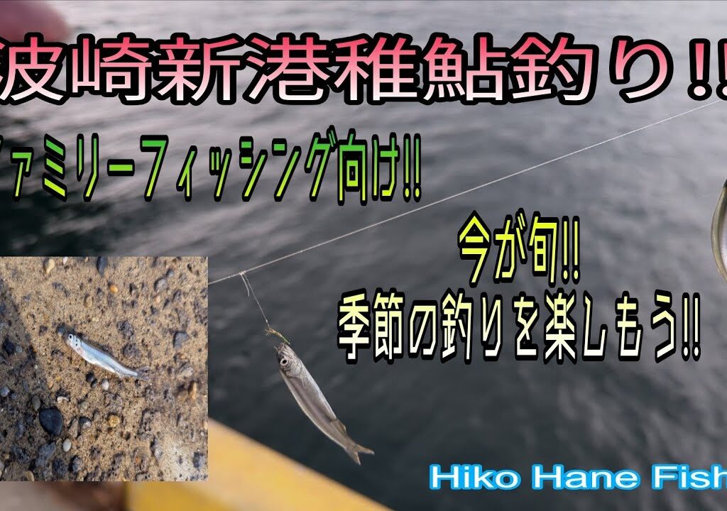 今が旬だ!!波崎新港で稚鮎釣り!!今しか楽しめない釣りを楽しもう!!