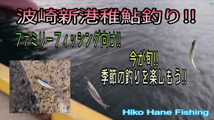 今が旬だ!!波崎新港で稚鮎釣り!!今しか楽しめない釣りを楽しもう!!