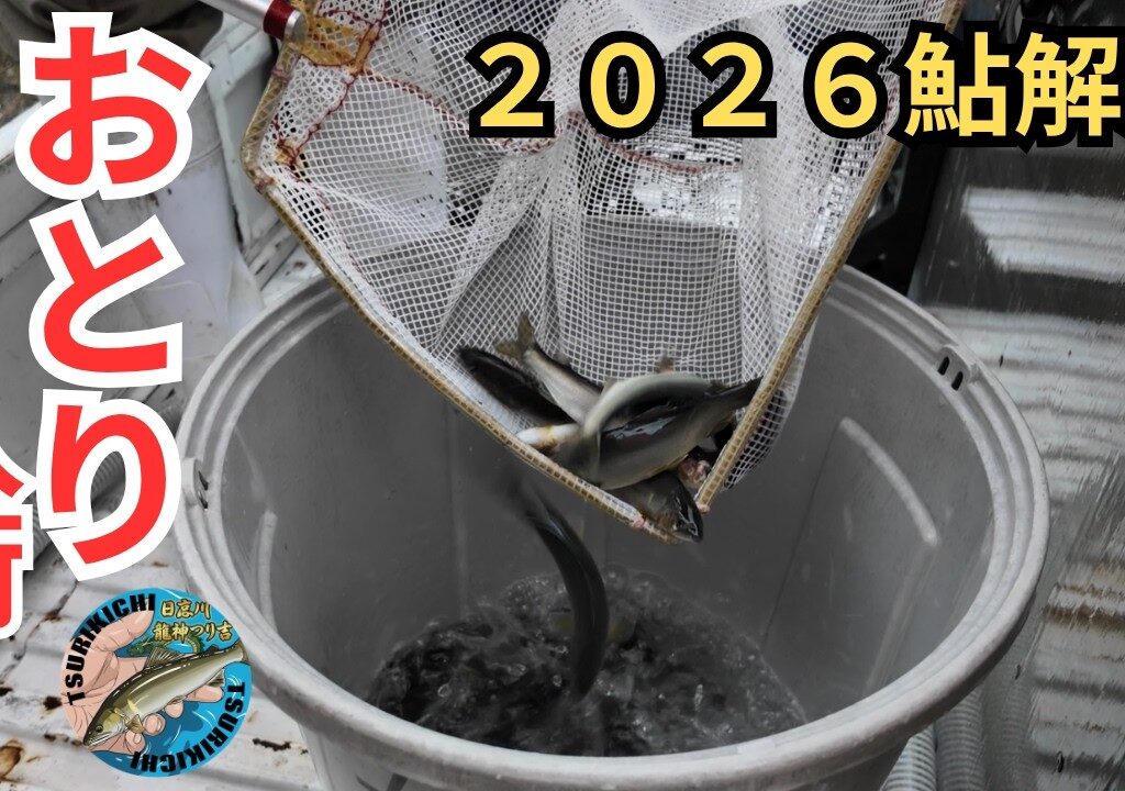 【おとり鮎入荷！】日高川鮎釣り解禁！おとり鮎とお待ちしております。