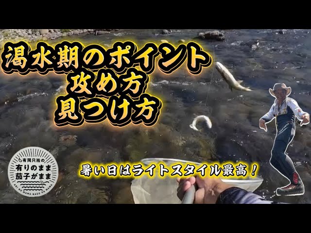 ポイントの見方で釣果がガラリと変わる【鮎釣り】