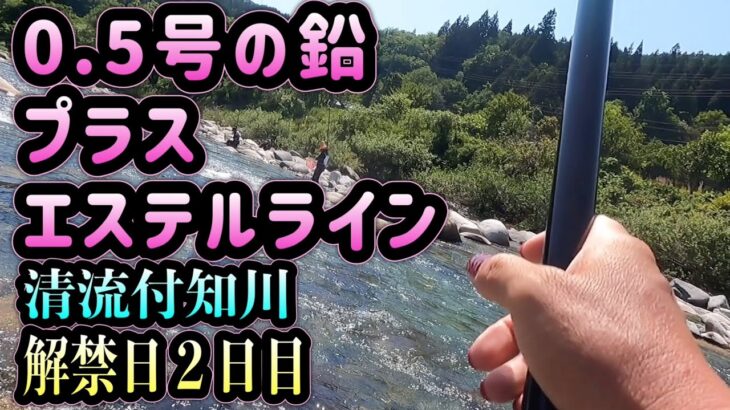 0.5のオモリ＋エステルラインで止め釣り　付知川２日目