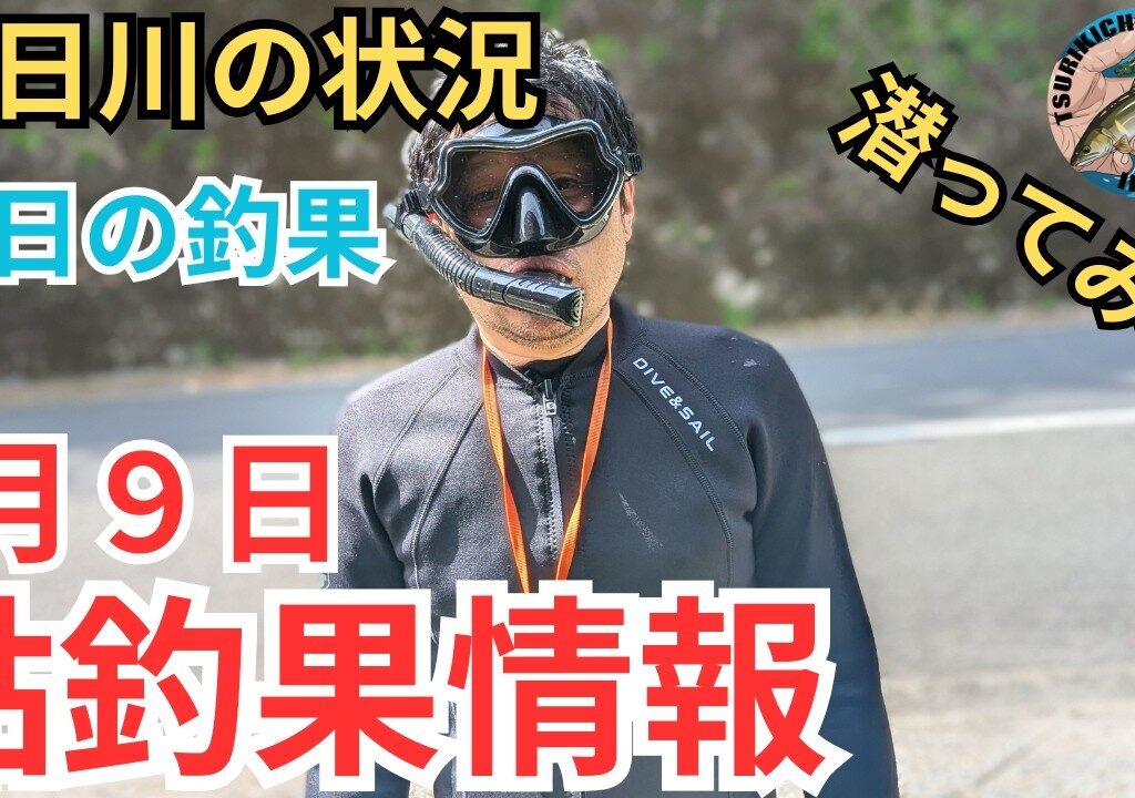 【鮎釣果情報】水温14.9℃の中潜ってみた！気になる水位と天気そして釣果は？