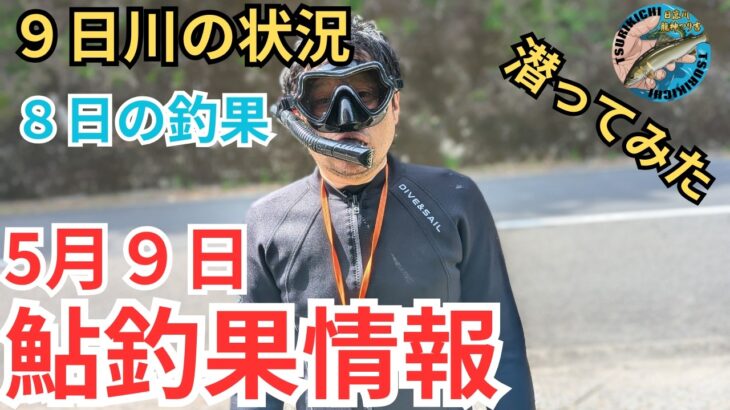 【鮎釣果情報】水温14.9℃の中潜ってみた！気になる水位と天気そして釣果は？