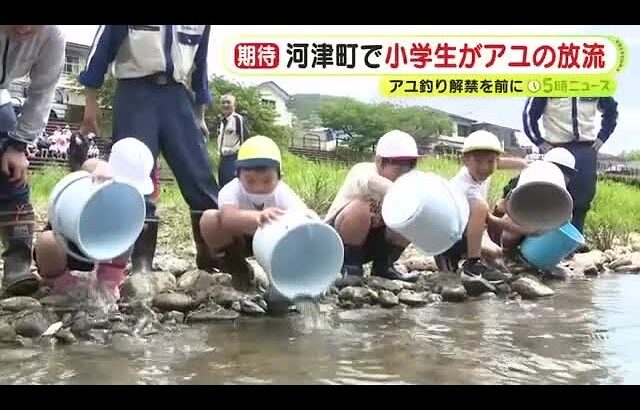 アユ釣り解禁を前に小学生がアユ約1万5000匹を放流