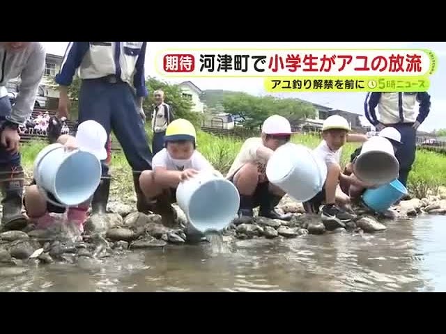 アユ釣り解禁を前に小学生がアユ約1万5000匹を放流