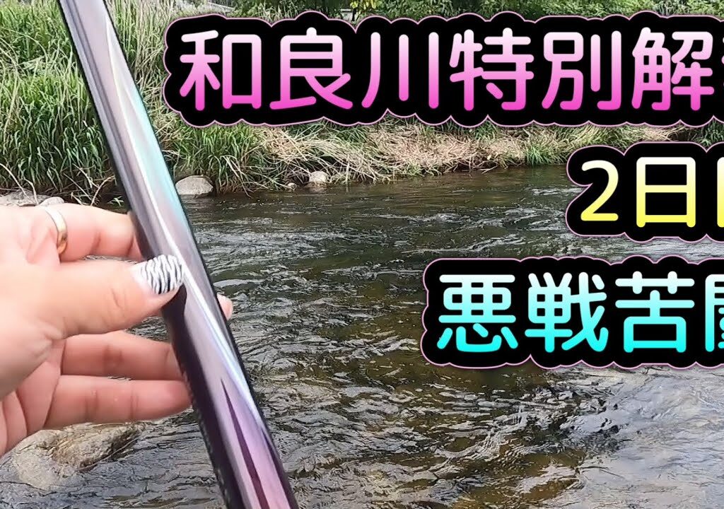 和良川特別解禁2日目