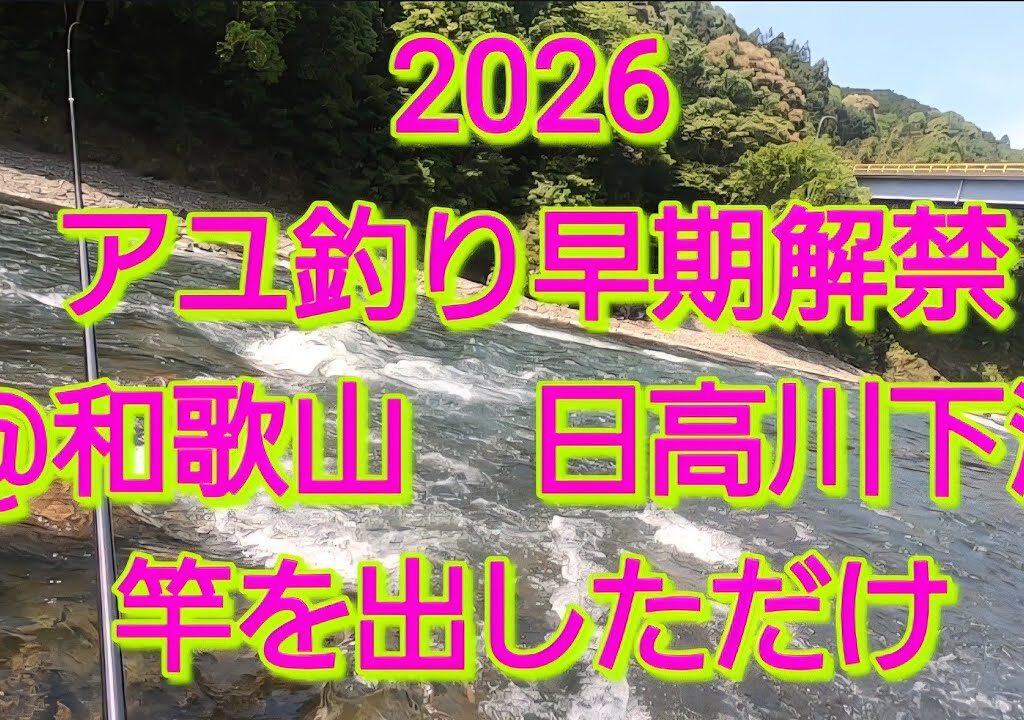 2026アユ釣り始動@和歌山 日高川下流　竿を出してみた！