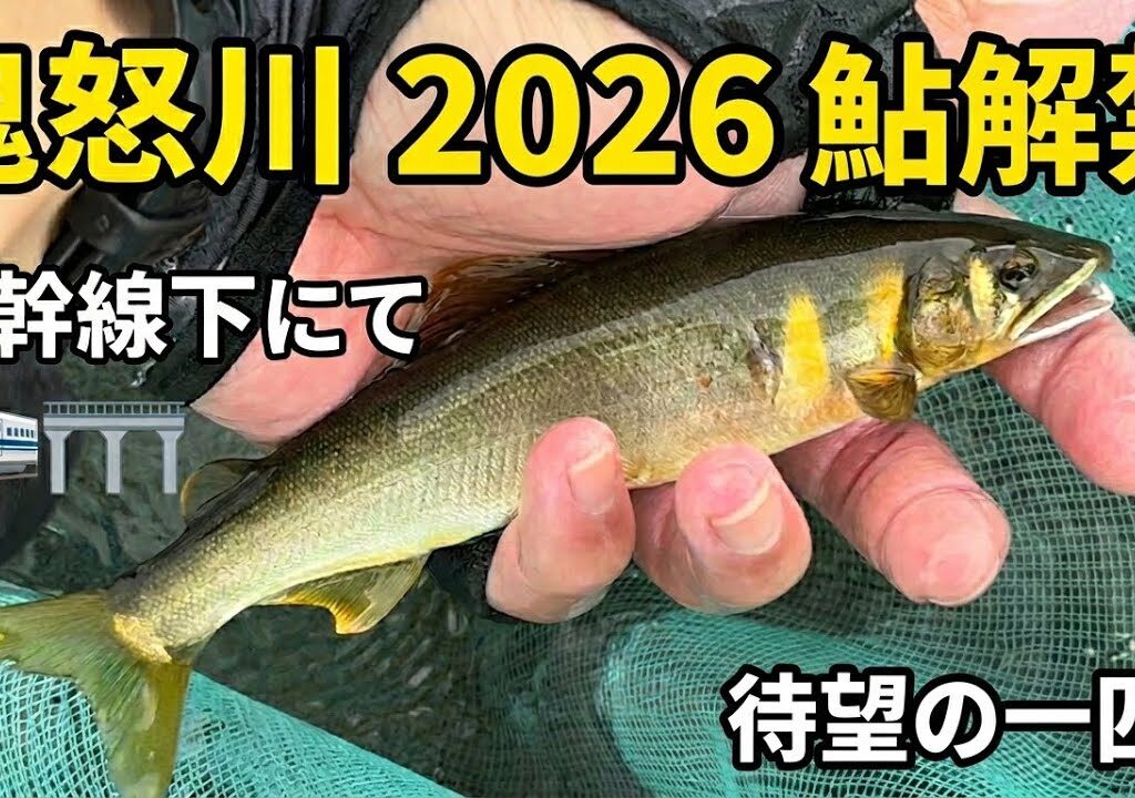 2026年 鬼怒川鮎釣り解禁！新幹線下に行ってきました。