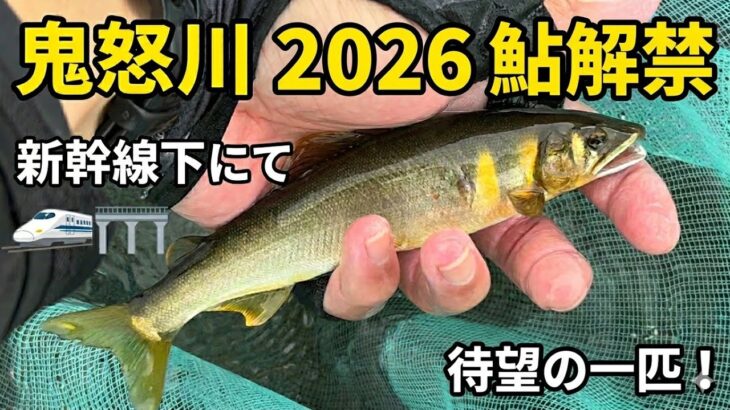 2026年 鬼怒川鮎釣り解禁！新幹線下に行ってきました。
