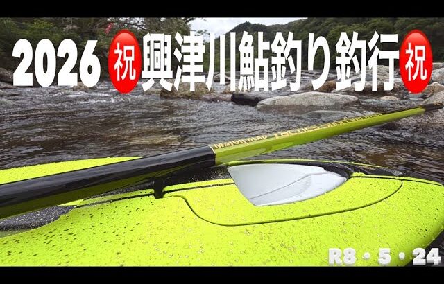 2026 興津川鮎釣り釣行