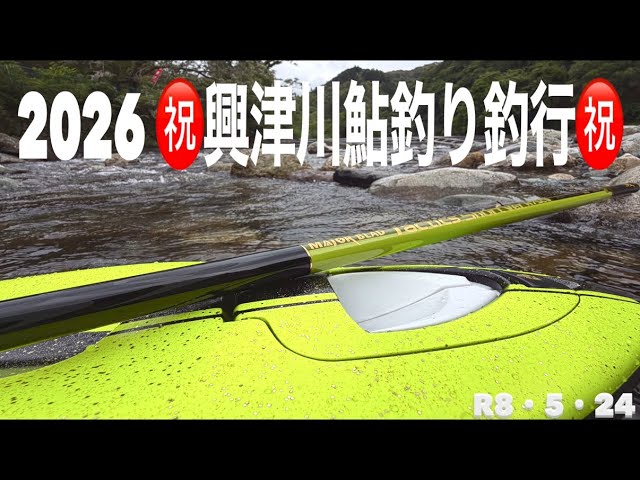 2026 興津川鮎釣り釣行