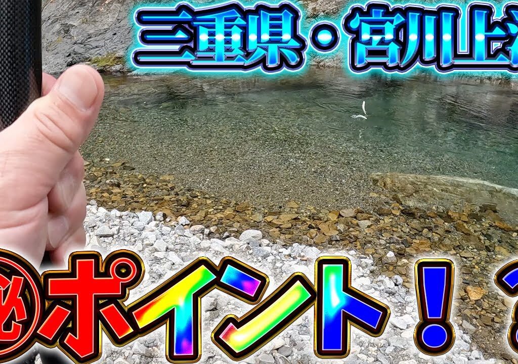 【2026.鮎釣り】こんな支流で綺麗な良型鮎連発で目印ぶっ飛び大興奮！！
