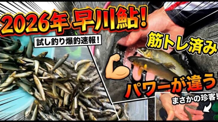 開幕、まさかの珍客！2026早川試し釣りは全員マッスルでパワーが違う！