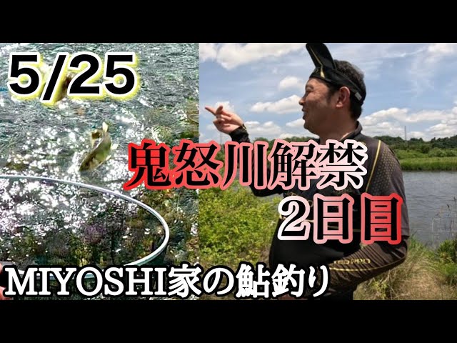 [2026鮎釣り]鬼怒川解禁２日目次男と兄が解禁出来た日