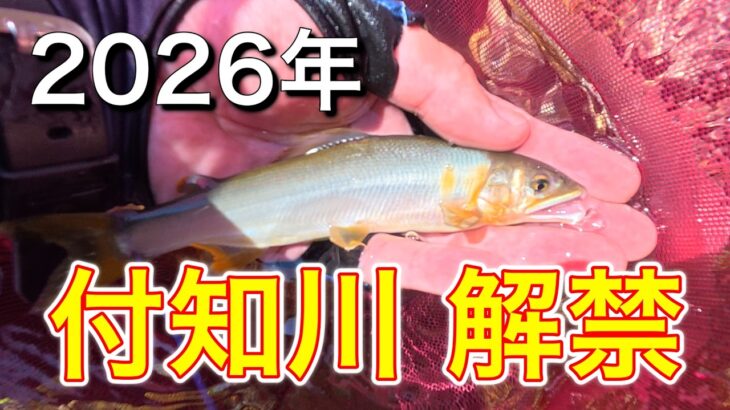 【鮎釣り】2026年付知川解禁に行ってみた！
